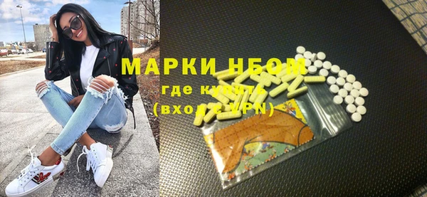 хмурый Аркадак
