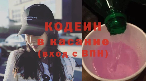 хмурый Аркадак