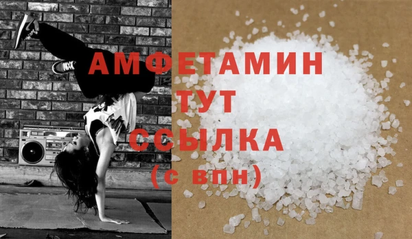 хмурый Аркадак