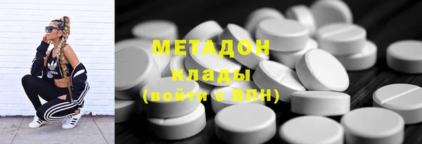 хмурый Аркадак