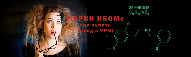 хмурый Аркадак