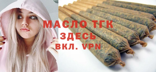 хмурый Аркадак