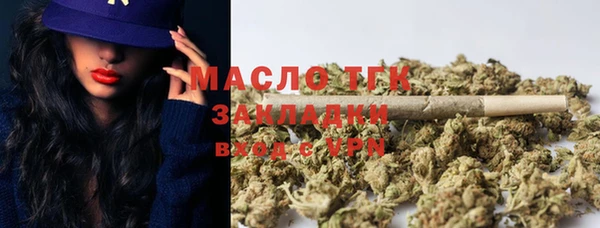 хмурый Аркадак